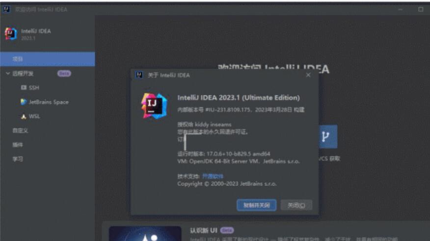 JetBrains IntelliJ IDEA Ultimate v2023.1.3 特别完美中文版(附激活教程+激活码)