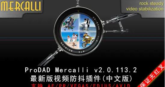 会声会影X9旗舰版ProDAD mercalli视频镜头防抖插件包 32位 中文安装免费版