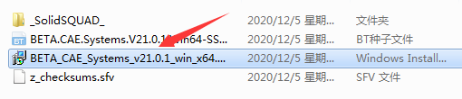 BETA CAE Systems 21安装教程