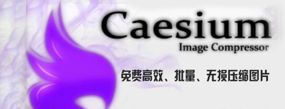 Caesium Image Compressor 图片压缩软件 v1.0.2 安装版+绿色版