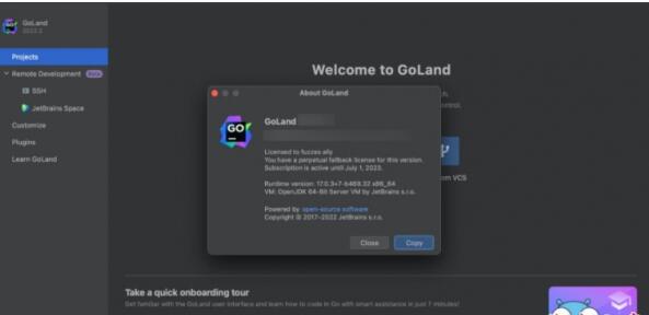 Go语言编辑工具JetBrains GoLand 2022.2 中文免费特别版(附方法)