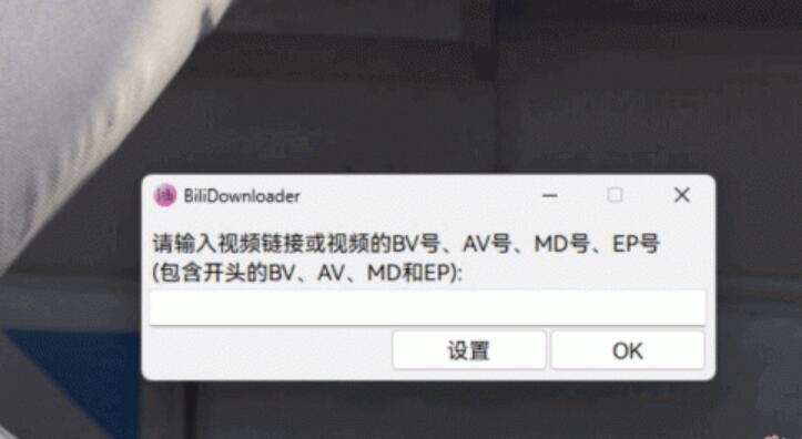 Bili Downloader(b站视频下载器) v1.0.1 官方安装版