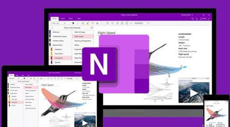 Microsoft OneNote Windows版 安装包 V2021 官方免费版