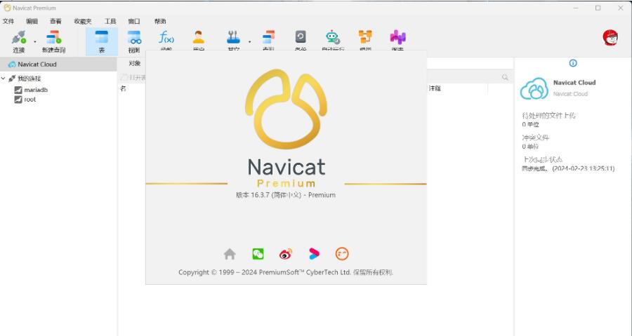 数据库管理工具 Navicat Premium 16.3.7 专业版 绿色和谐版(中文/英文)