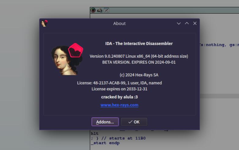 IDA Pro/Teams v9.0.240807 Beta Win/Linux 官方完整授权版 64位