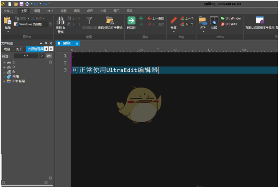 IDM UltraEdit(代码编辑器) v30.2.0.27 永久激活绿色中文版 64位